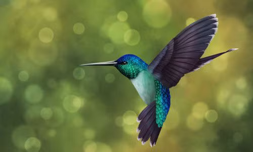 Sức chịu đựng của chim ruồi cũng rất phi thường, đến mức chúng có thể bay qua quãng đường 800km trên vịnh Mexico mà không cần nghỉ.