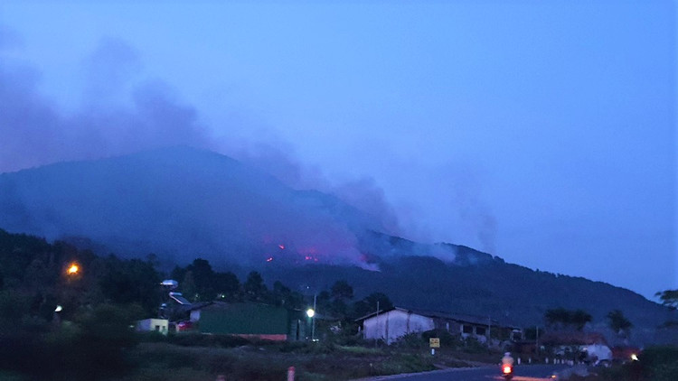 Rừng núi Voi đang cháy lớn. Rừng núi Voi đang cháy lớn.