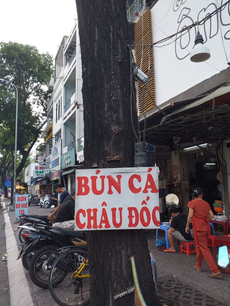 Cây xanh đô thị cần được chăm sóc, bảo vệ nghiêm ngặt ảnh 1