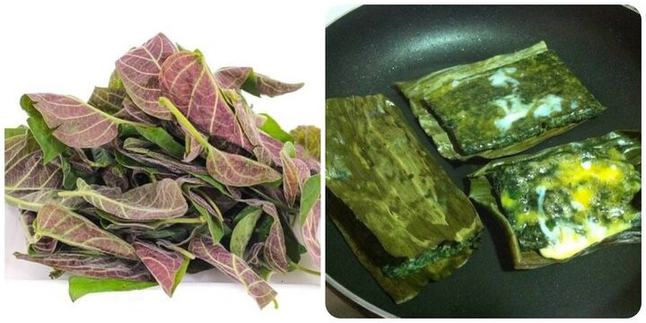 Lá mơ lông không chỉ là một loại rau gia vị quen thuộc mà còn là vị thuốc có tác dụng tốt trong việc hỗ trợ tiêu hóa và giải độc. Kết hợp lá mơ lông với trứng rán, món ăn sẽ có hương vị lạ miệng và mang lại nhiều lợi ích sức khỏe. Ảnh minh họa