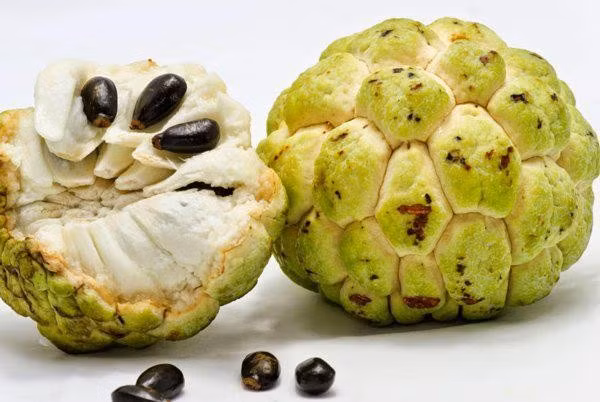 Lưu ý khi ăn na để tránh gây hại sức khỏe. Ảnh minh họa