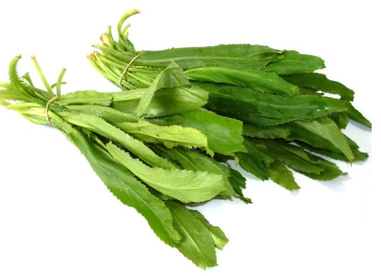 Ảnh minh họa Ảnh minh họa