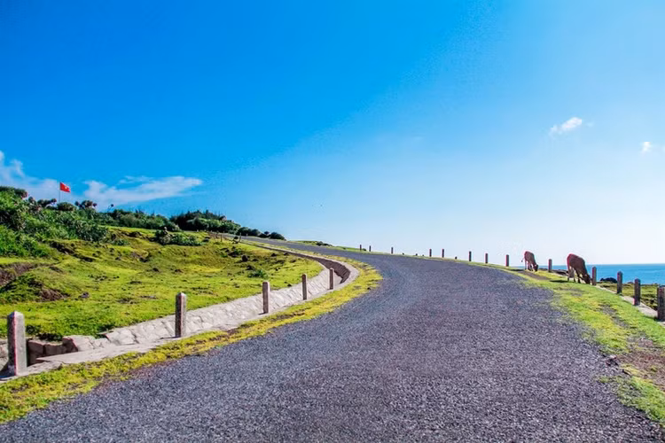 Đây là một con dốc gần biển, nằm sát khu trường bắn của bộ đội biên phòng. Dốc Thiên Đường là một điểm đến tuyệt đẹp trên đảo để dừng chân. Với biển cả và khu rừng hoang dã phi lao, tất cả tạo nên một khung cảnh đẹp mắt. Con dốc này đặc biệt được yêu thích bởi du khách, đặc biệt là giới trẻ, bởi vì khi đến đây, họ có thể tìm thấy nhiều góc chụp ảnh đẹp và được trải nghiệm cảm giác thú vị khi đi bộ xuống dốc. Nếu có cơ hội đến đây và trải nghiệm bản thân, chắc chắn sẽ để lại những cảm xúc khó quên. Ảnh Vn.trip