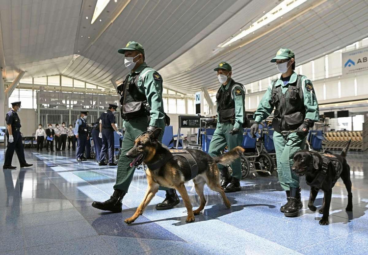 Chó nghiệp vụ được triển khai tại sân bay Haneda và các ga tàu điện ở Tokyo. Ảnh: Kyodo