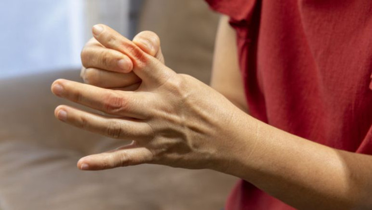 Ảnh minh hoạ Ảnh minh hoạ