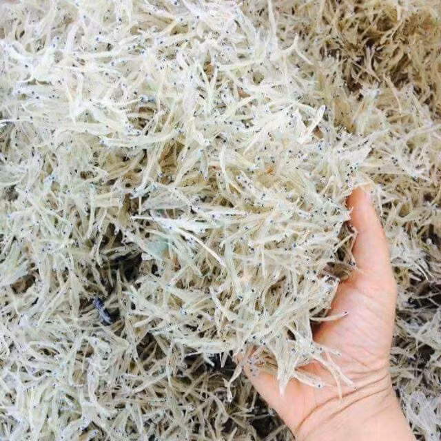 Tuy loại cá này có kích thước vô cùng nhỏ bé như thế, nhưng giá trị dinh dưỡng từ cá cơm mờm sữa mang lại rất lớn. Ảnh Internet