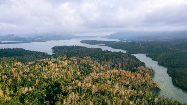 Người ta ví Khe Sanh như &quot;Đà Lạt thu nhỏ&quot; bởi không khí trong lành, khí hậu mát mẻ hay &quot;phố núi sát biên giới Việt - Lào với cảnh quan tuyệt đẹp. Ảnh Duchieumedia