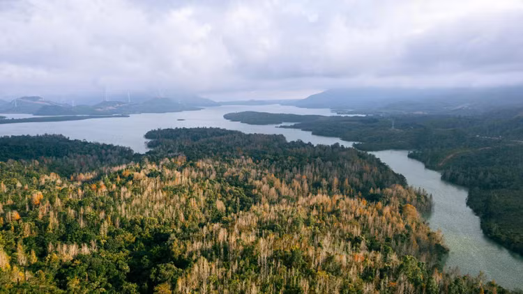 Người ta ví Khe Sanh như "Đà Lạt thu nhỏ" bởi không khí trong lành, khí hậu mát mẻ hay "phố núi sát biên giới Việt - Lào với cảnh quan tuyệt đẹp. Ảnh Duchieumedia
