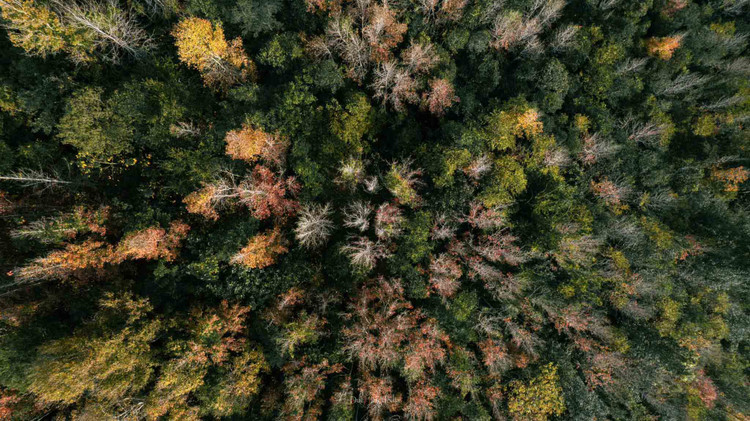 Nhắc đến Khe Sanh, hẳn là một địa danh không còn xa lạ với người Việt Nam cũng như nhiều bạn bè thế giới. Nơi đây từng là vùng chiến địa, gắn liền với những chiến trận lừng lẫy của quân và dân trong lịch sử. Tiêu biểu phải kể đến Chiến dịch Đường 9 - Khe Sanh, đưa huyện Hướng Hóa của Quảng Trị thành huyện đầu tiên của chiến trường miền Nam được giải phóng. Ảnh Duchieumedia