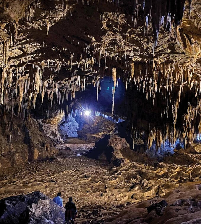 Đường đến các hang động Pu Sam Cáp vừa khúc khuỷu gập ghềnh lại vừa khó đi, đó đây vẫn còn ngổn ngang những cây cổ thụ bị gió mưa quật ngã đã phủ kín rêu phong hay bám đầy những loài cây tầm gửi khiến mỗi bước chân du khách như chạm vào những bí ẩn thiêng liêng của đại ngàn, khơi dậy sự thích thú pha lẫn sự mạo hiểm, xứng đáng là điểm đến độc nhất vô nhị.