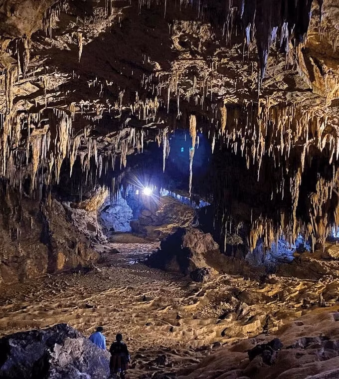 Đường đến các hang động Pu Sam Cáp vừa khúc khuỷu gập ghềnh lại vừa khó đi, đó đây vẫn còn ngổn ngang những cây cổ thụ bị gió mưa quật ngã đã phủ kín rêu phong hay bám đầy những loài cây tầm gửi khiến mỗi bước chân du khách như chạm vào những bí ẩn thiêng liêng của đại ngàn, khơi dậy sự thích thú pha lẫn sự mạo hiểm, xứng đáng là điểm đến độc nhất vô nhị.