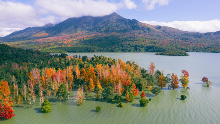 Khung cảnh rừng sau sau nhìn từ trên cao đầy ấn tượng bởi sắc là đỏ, cam, xanh và cả những cây sau sau đã rụng lá màu trắng xám, xen kẽ vào nhau. Ảnh Duchieumedia