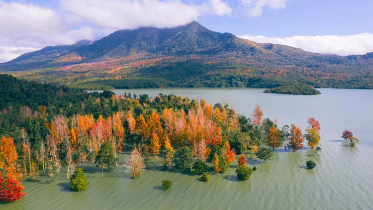 Khung cảnh rừng sau sau nhìn từ trên cao đầy ấn tượng bởi sắc là đỏ, cam, xanh và cả những cây sau sau đã rụng lá màu trắng xám, xen kẽ vào nhau. Ảnh Duchieumedia