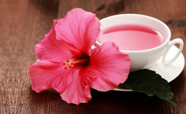 Là loài hoa thường sử dụng để làm đẹp, có nhiều công dụng như giúp làm sáng da, da săn chắc. Ảnh minh họa