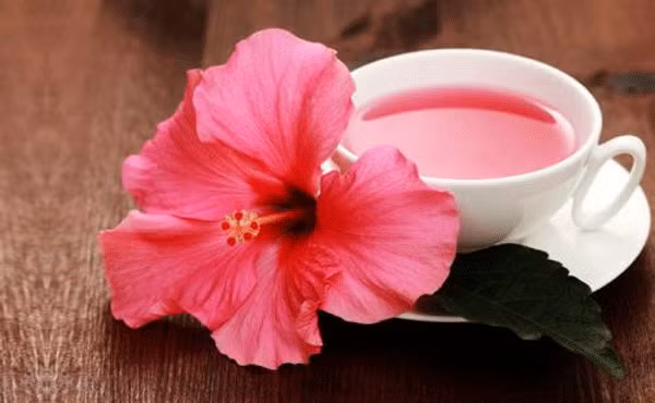 Là loài hoa thường sử dụng để làm đẹp, có nhiều công dụng như giúp làm sáng da, da săn chắc. Ảnh minh họa