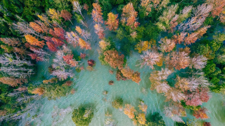 Khi đến đây, du khách có cơ hội được khám phá những địa điểm thú vị như Bảo tháp Khe Sanh, đèo Sa Mù, thác Chênh Vênh, đường hoa dã quỳ... Và những chiến địa ác liệt năm xưa như thung lũng Khe Sanh, sân bay Tà Cơn, Làng Vây... vẫn còn được gìn giữ, vừa là điểm tham quan, du lịch, cũng như một minh chứng cho tinh thần hào hùng của dân tộc Việt Nam.