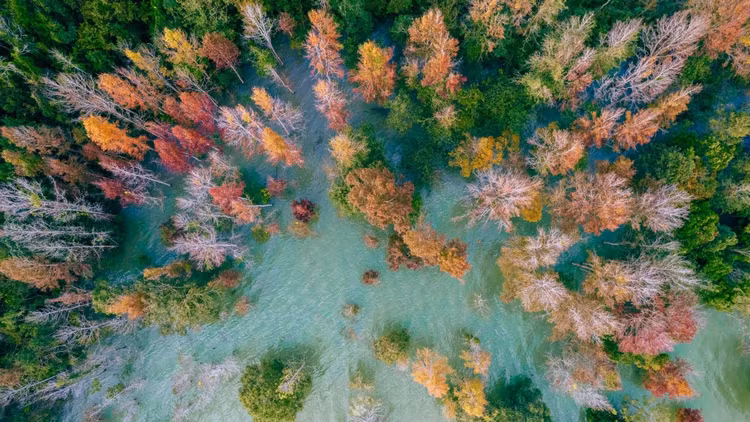 Khi đến đây, du khách có cơ hội được khám phá những địa điểm thú vị như Bảo tháp Khe Sanh, đèo Sa Mù, thác Chênh Vênh, đường hoa dã quỳ... Và những chiến địa ác liệt năm xưa như thung lũng Khe Sanh, sân bay Tà Cơn, Làng Vây... vẫn còn được gìn giữ, vừa là điểm tham quan, du lịch, cũng như một minh chứng cho tinh thần hào hùng của dân tộc Việt Nam.