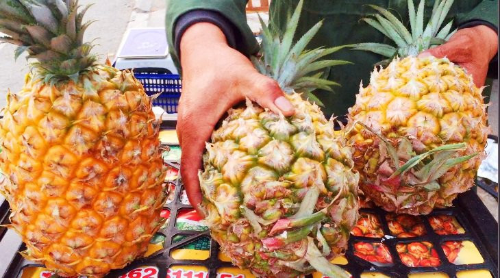 Cách chọn dứa tươi ngon, ngọt lịm. Cách chọn dứa tươi ngon, ngọt lịm.