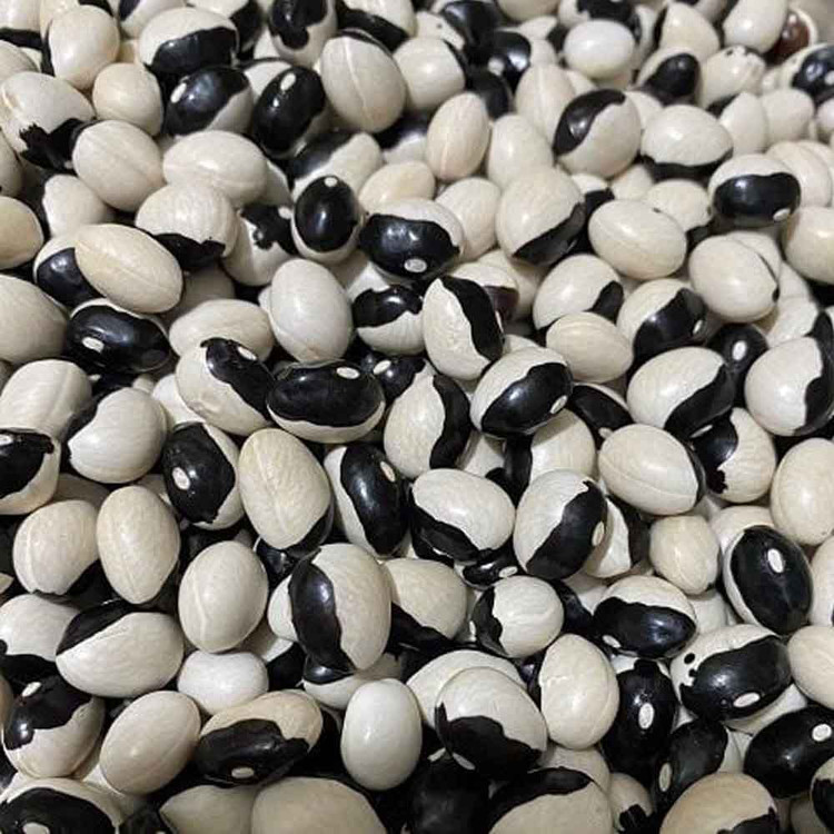 Ảnh minh họa Ảnh minh họa