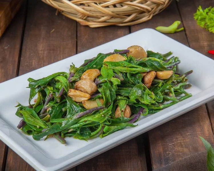 Giảm đau và chống viêm: Rau lủi được sử dụng trong việc hỗ trợ điều trị các bệnh viêm họng, viêm khí quản mãn tính, ho gió, ho gà, và các bệnh liên quan đến đau nhức xương khớp. Ảnh Internet