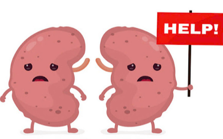 Thói quen xấu &apos;ầm thầm&apos; gây hại thận. Ảnh minh họa