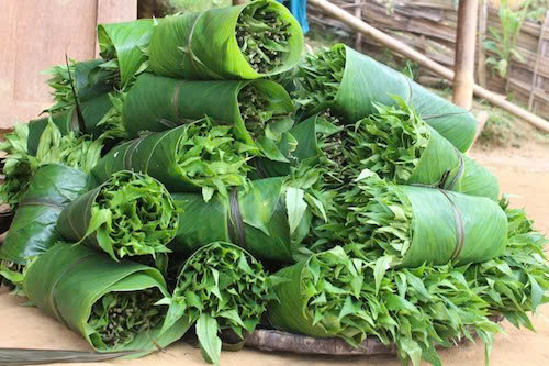 Chữa bệnh đường tiêu hóa: Loại rau này có thể giúp điều trị các vấn đề về tiêu hóa như viêm đại tràng, táo bón và loét dạ dày. Ảnh Internet