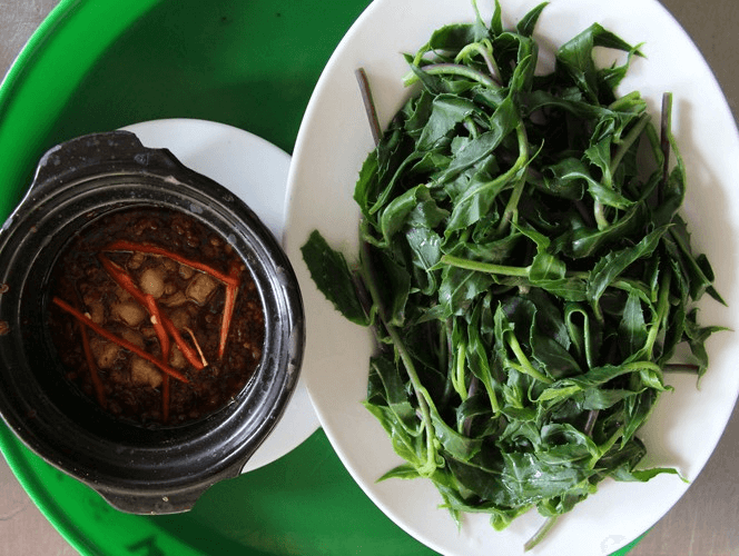 Loại rau rừng chữa vết thương chảy máu: Khi bị thương, chảy máu dùng rau lủi bịt vào vết thương sẽ giúp giảm đau, giảm sưng, viêm. Ảnh minh họa