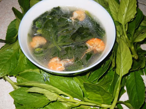 Giúp thanh nhiệt: Theo Đông y rau lủi có vị cay, ngọt thơm, tính bình. Loại rau này có tác dụng thanh nhiệt, giải độc, giúp lợi tiểu, tiêu viêm, tán ứ tiêu thũng. Ảnh minh họa