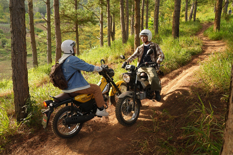 Cụm đèn trước, sau đặc trưng của một chiếc xe cổ điển