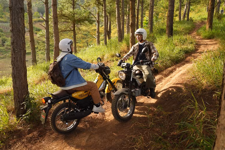 Cụm đèn trước, sau đặc trưng của một chiếc xe cổ điển