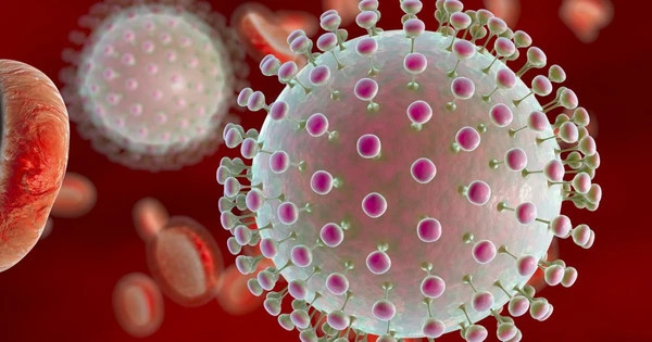 Hà Nội ghi nhận ca viêm não Nhật Bản đầu tiên. Ảnh minh họa