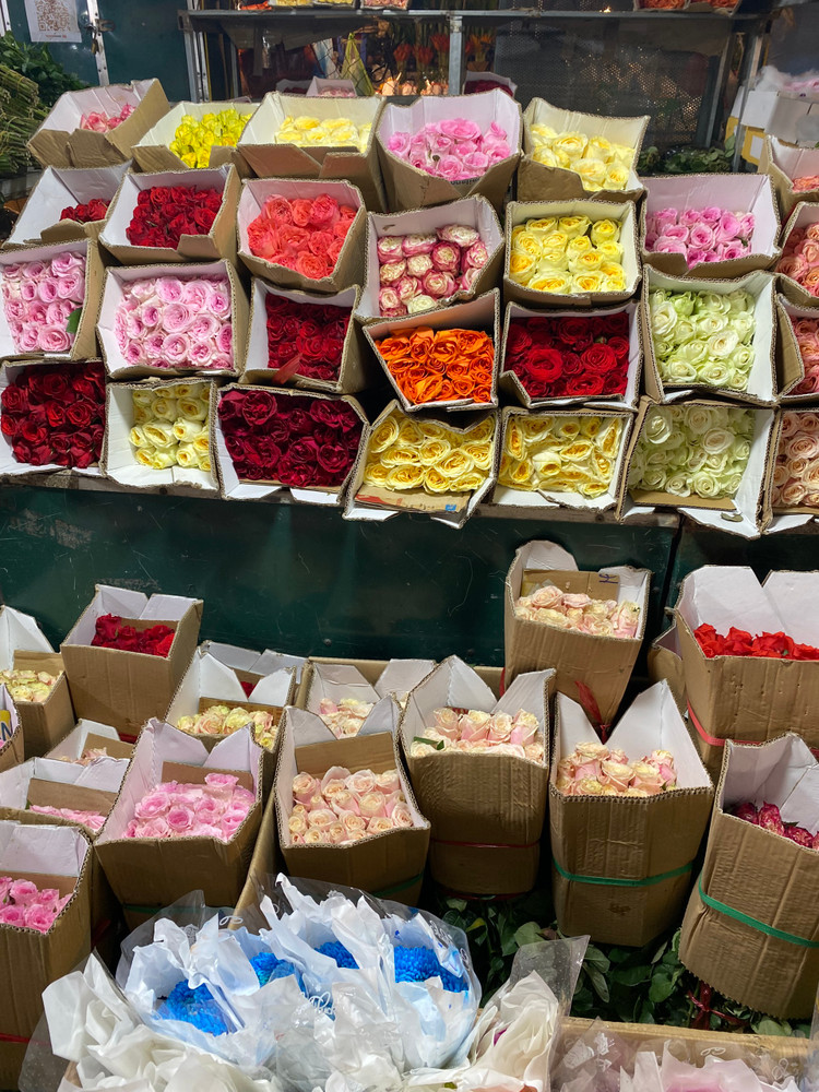 Theo một tiểu thương tại đây cho hay, giá các loại hoa năm nay không biến động nhiều so với mọi năm.Trong đó, hoa hồng là mặt hàng bán chạy nhất, được nhập từ nhiều nguồn để đáp ứng nhu cầu của khách. Một bó hồng có giá từ 70.000 - 80.000/bó tùy màu.
