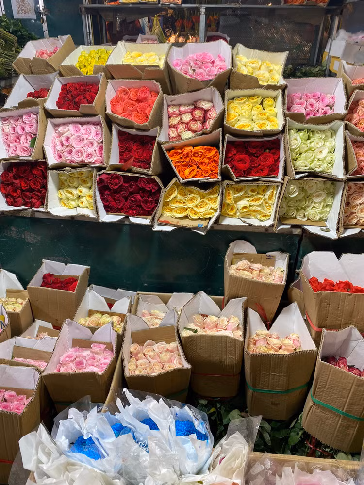 Theo một tiểu thương tại đây cho hay, giá các loại hoa năm nay không biến động nhiều so với mọi năm.Trong đó, hoa hồng là mặt hàng bán chạy nhất, được nhập từ nhiều nguồn để đáp ứng nhu cầu của khách. Một bó hồng có giá từ 70.000 - 80.000/bó tùy màu.