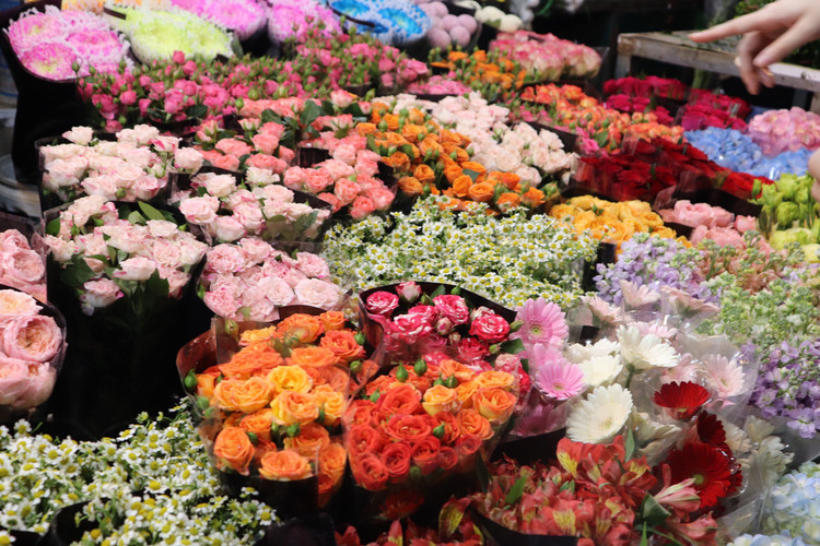 Tại đây, rất đa dạng các loài hoa từ các vùng Tây Tựu, Đông Anh, Mê Linh, Đà Lạt… Hay vô vàn các mẫu hoa nhập khẩu từ Thái Lan, Nam Phi, Trung Quốc, Hà Lan...