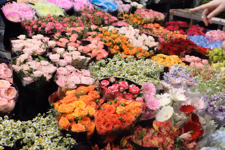 Tại đây, rất đa dạng các loài hoa từ các vùng Tây Tựu, Đông Anh, Mê Linh, Đà Lạt… Hay vô vàn các mẫu hoa nhập khẩu từ Thái Lan, Nam Phi, Trung Quốc, Hà Lan...