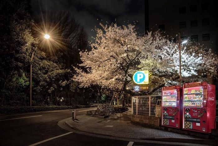 Máy bán hàng tự động có thể cảnh báo thiên tai tại Nhật Bản ảnh 1