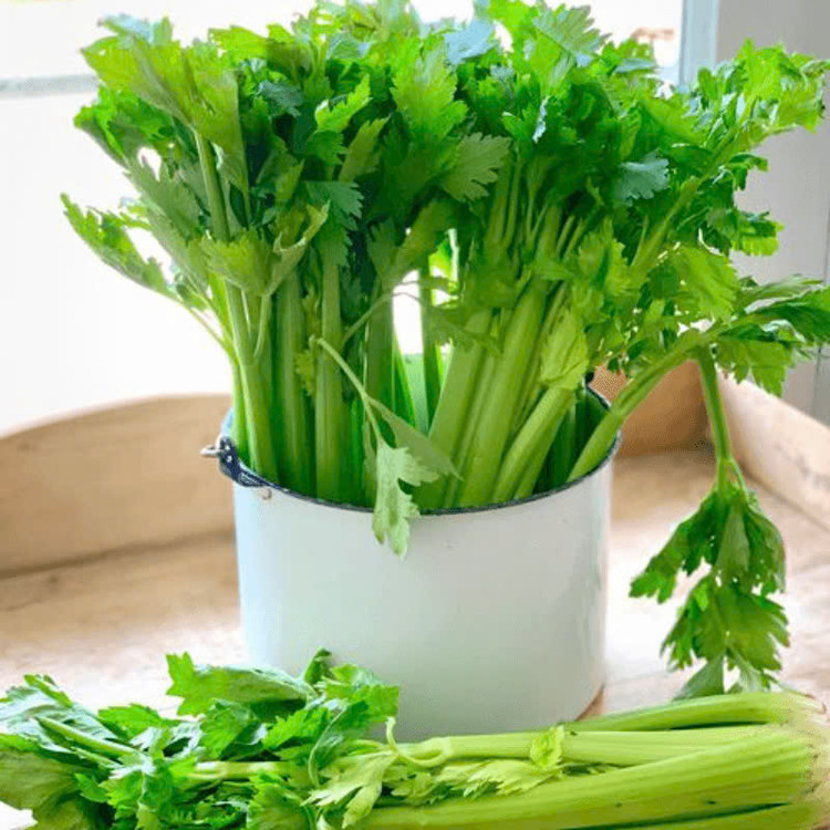 Ảnh minh họa Ảnh minh họa