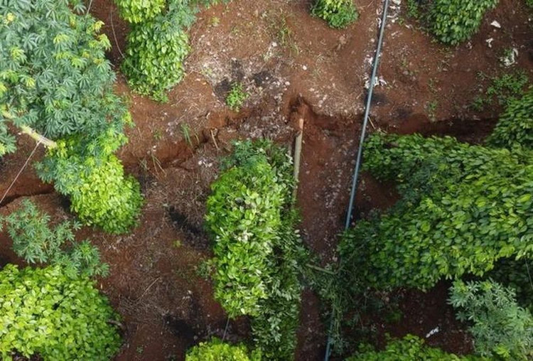 Một vết nứt lớn, chạy dài trên quả đồi sát đập