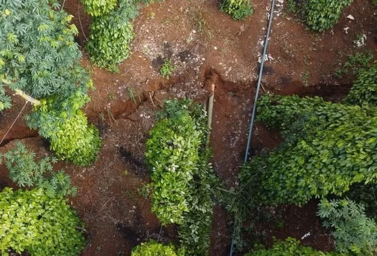 Một vết nứt lớn, chạy dài trên quả đồi sát đập