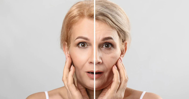 Bí quyết đơn giản giúp đảo ngược quá trình lão hóa. Ảnh minh họa