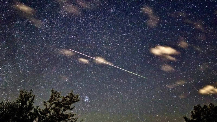 Sao băng Perseid chụp tại Alberta, Canada vào ngày 12/8/2021. Ảnh: Joel Weatherly/EarthSky