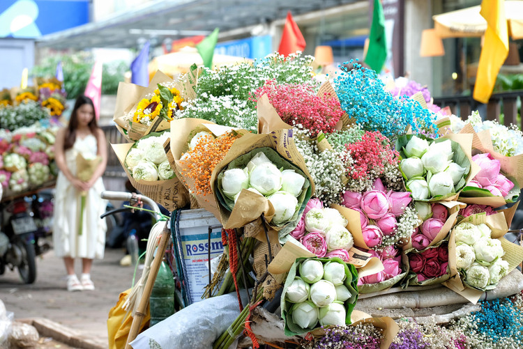 Phố Phan Đình Phùng, Thụy Khuê vào những ngày này, nhiều xe đạp hoa dựng dọc hai bên đường thu hút nhiều bạn trẻ đến chụp ảnh check-in.