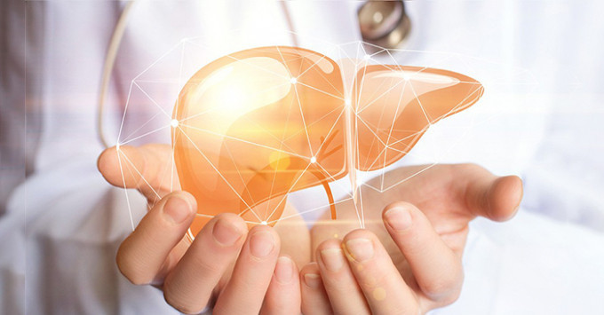 Thói quen đơn giản giúp lá gan khỏe mạnh. Ảnh minh họa Thói quen đơn giản giúp lá gan khỏe mạnh. Ảnh minh họa