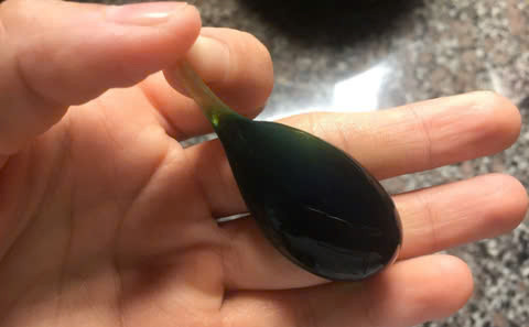 Độc tố chính trong mật cá trắm được xác định là Cyprinol sulfat, một a xít mật C27, gây viêm gan, tổn thương thận. Ảnh minh họa