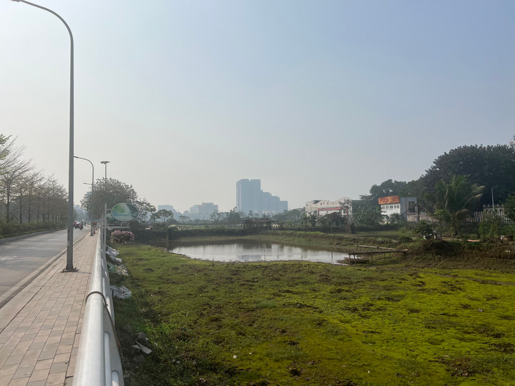 Ao cạn nước, cỏ mọc xanh