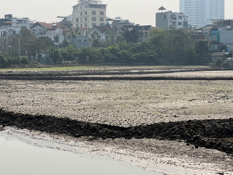 Lòng hồ cạn khô nứt toác ngỡ như sa mạc.