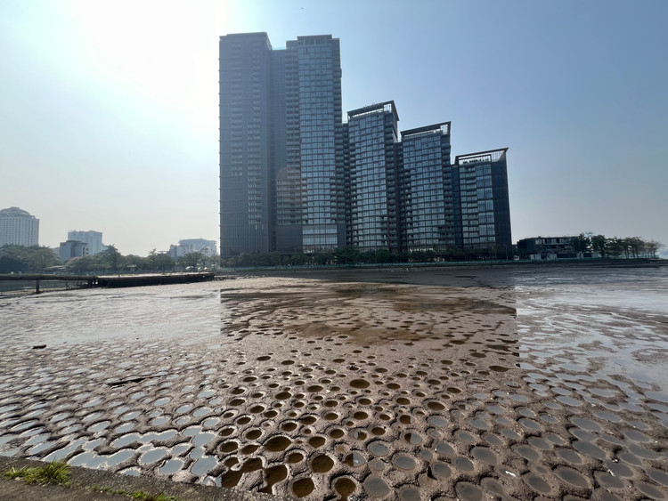 Gần đây, lượng cá ở ao Thủy Sứ chết hàng loạt khiến tình trạng ô nhiễm càng trở nên nghiêm trọng.