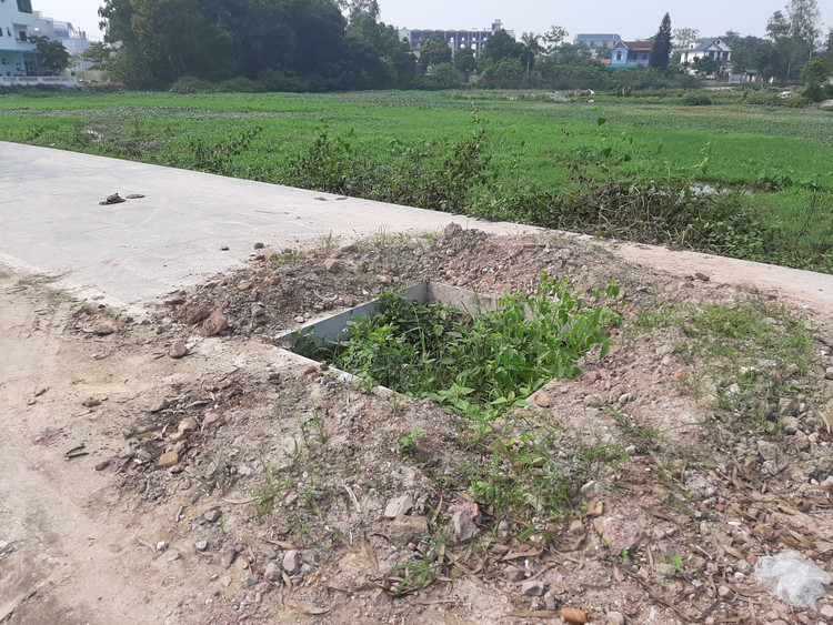 Chất thải động vật, cỏ dại um tùm, cát sỏi vung vãi.