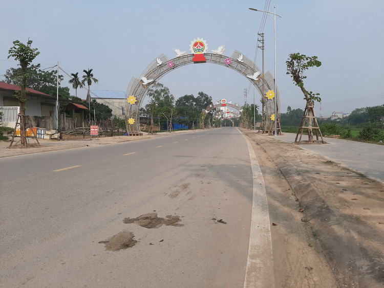 Trâu phóng uế bừa bãi trên đường phố.