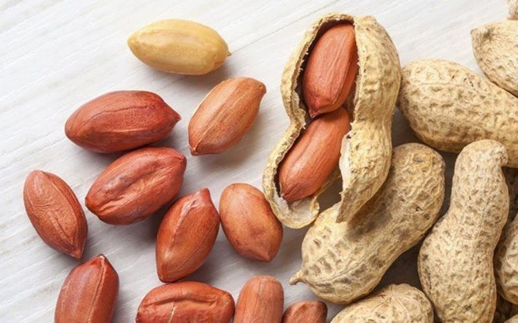 Hạt lạc tốt cho não bộ. Ảnh minh họa